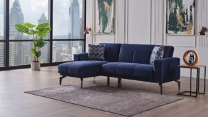 Alternative view of Henry kulmasohva