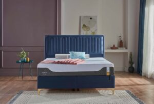 Alternative view of Petra sänky