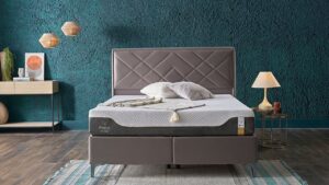 Alternative view of Petra S sänky