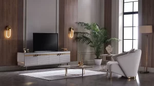 Alternative view of Veronica tv-taso