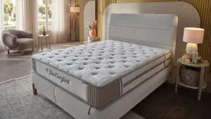 Bio comfort - Image 5